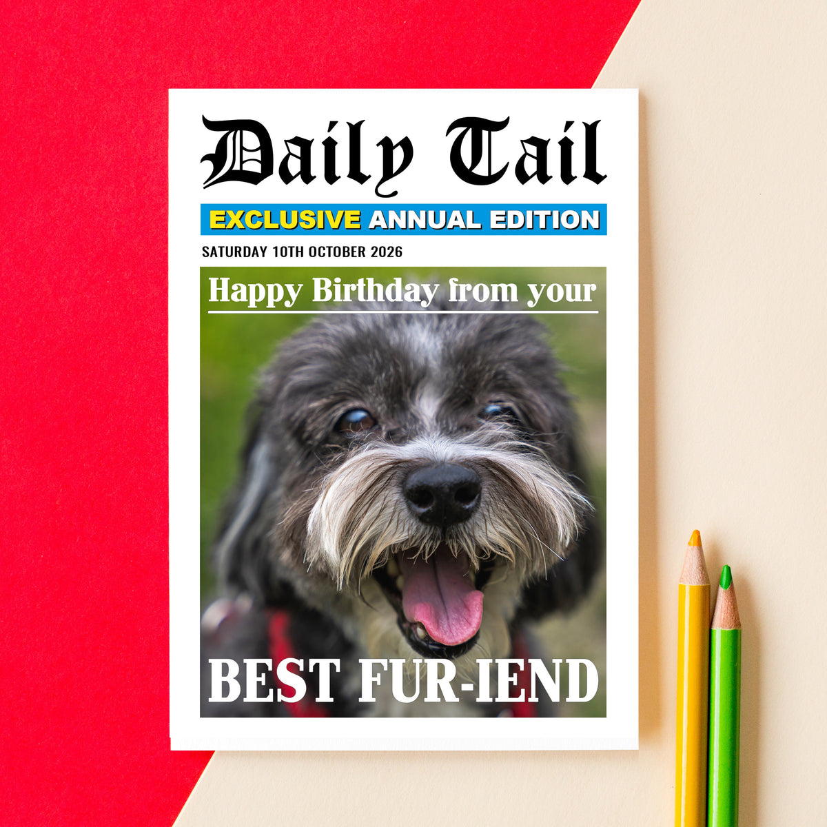 A printed novelty card styled like a Daily Tail magazine cover, featuring a photo of a smiling dog and the text 'Happy Birthday from your BEST FUR-IEND'. The card is photographed on a cream surface with a red geometric backdrop and two colored pencils beside it.