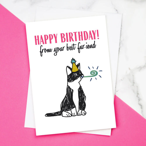 'Best Fur-iend' Funny Cat Birthday Card Birthday Cards Of Life & Lemons 